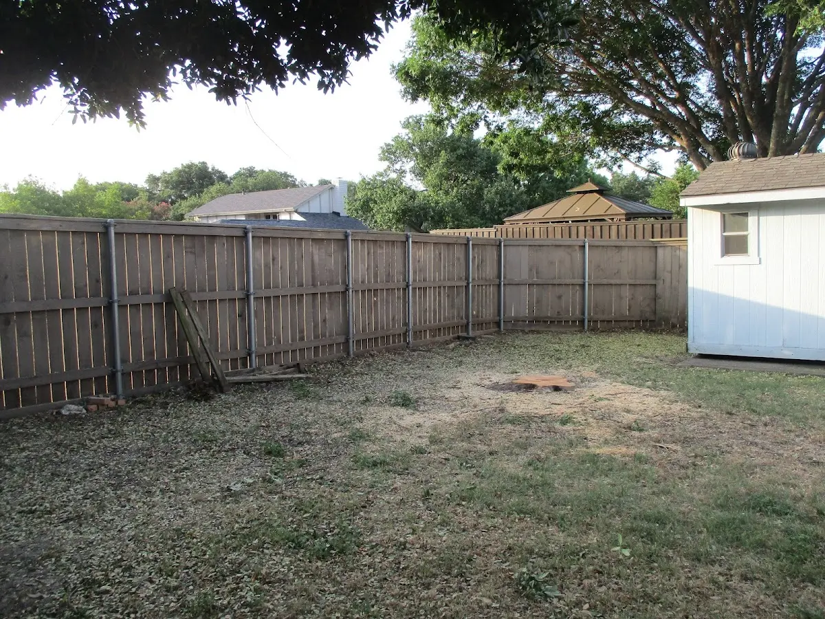 Cleared yard after professional tree removal in Promise City