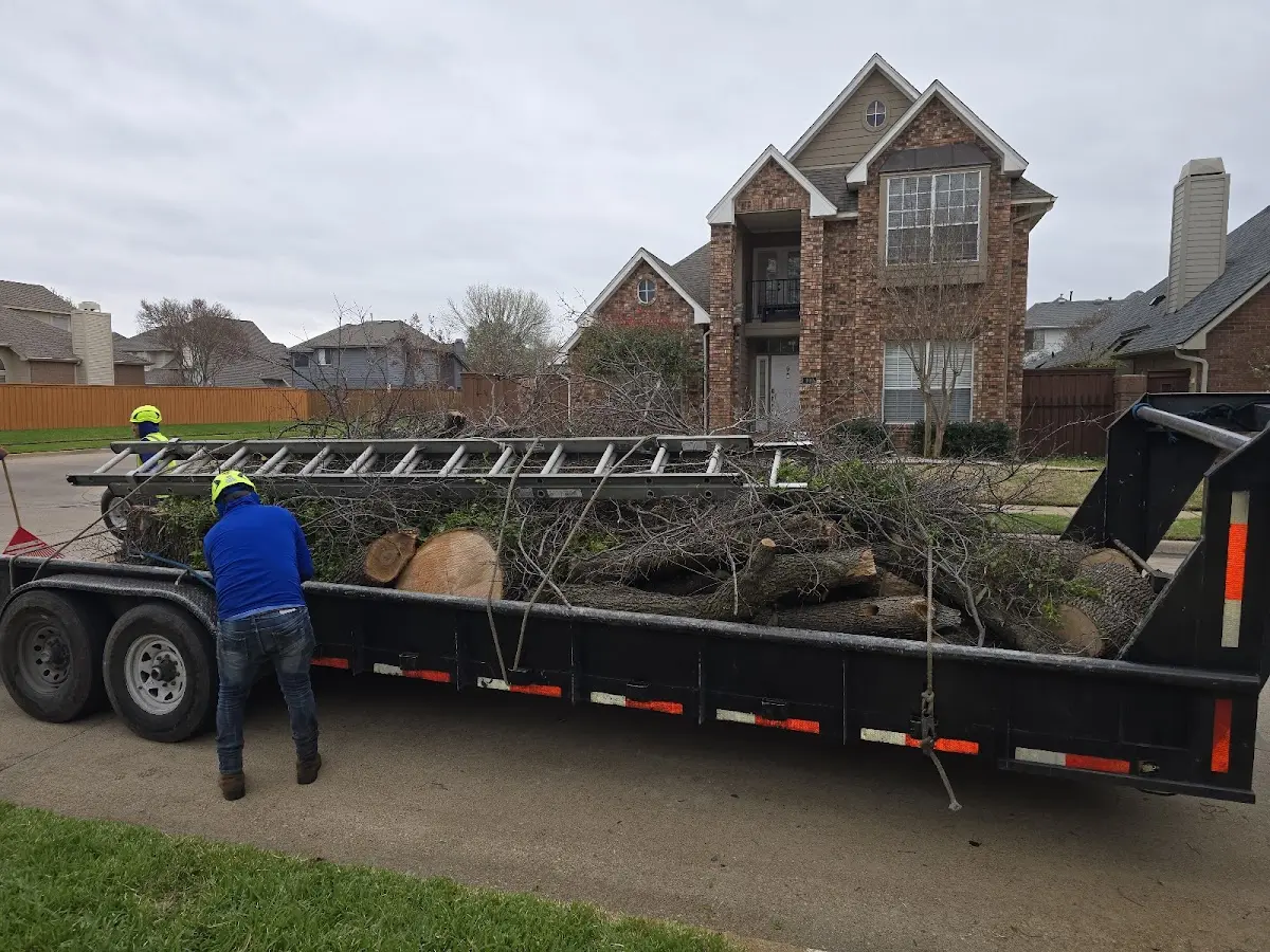 Expert Tree Fertilization with proper safety equipment in Promise City